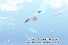 Eternal-Flight-of-the-Gull1