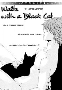 Waltz with a Black Cat